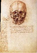 Anatomy of the Schadels, LEONARDO da Vinci